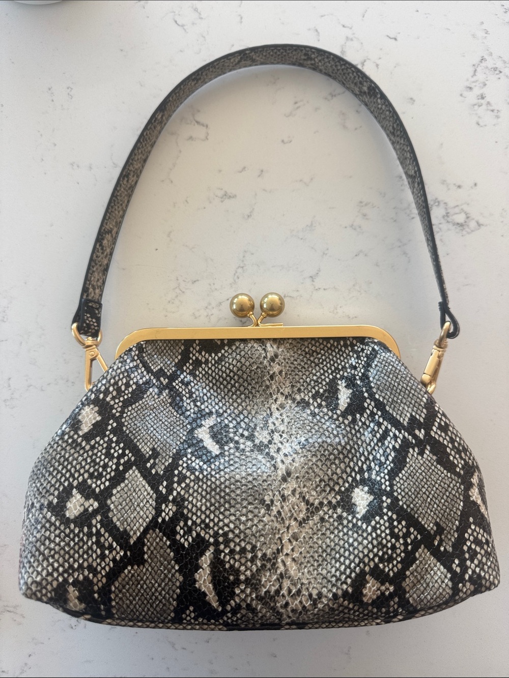 Snake-Print Frame Clutch - Black & Cream